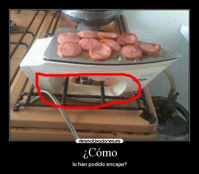 ¿Cómo - lo han podido encajar?