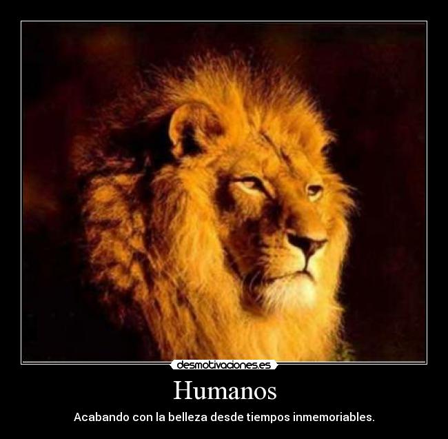 Humanos - Acabando con la belleza desde tiempos inmemoriables.