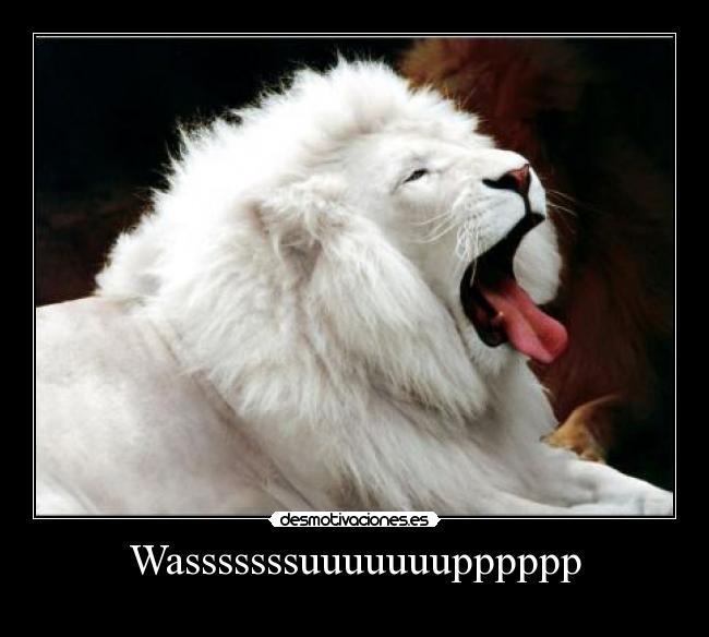 Wasssssssuuuuuuupppppp -