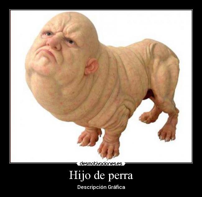 carteles perro desmotivaciones