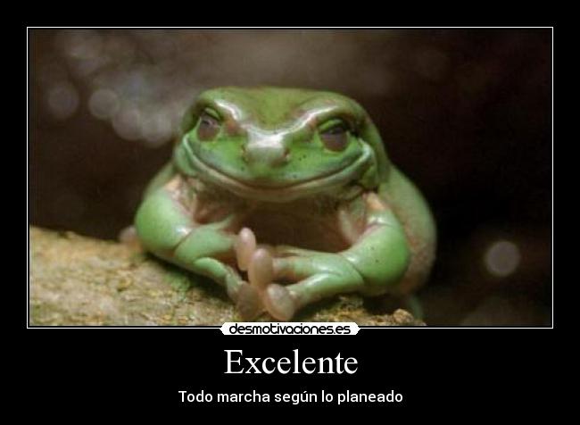 Excelente - 