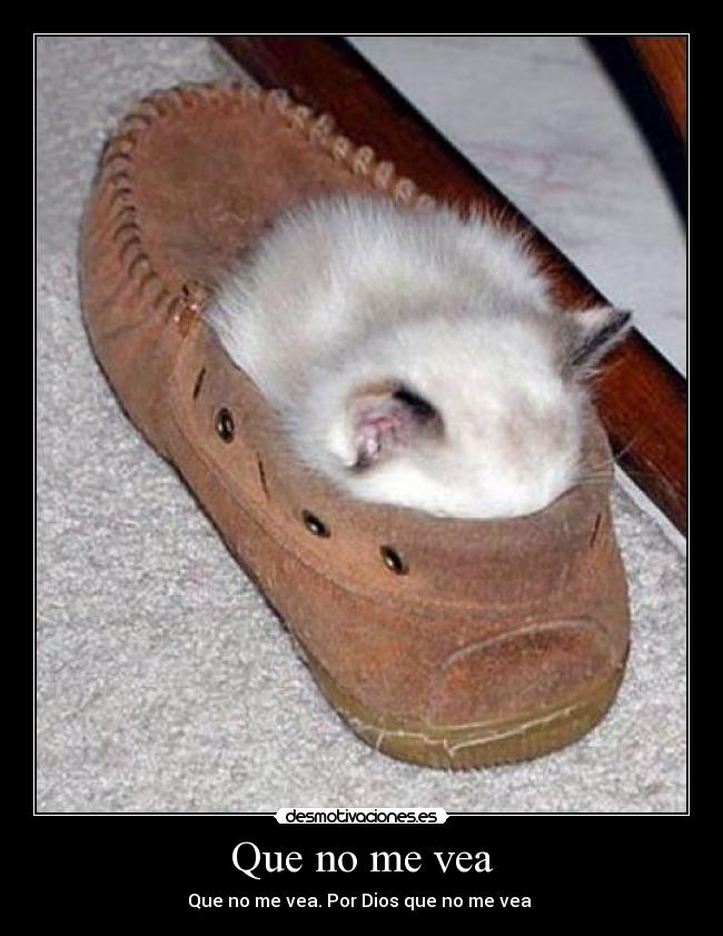 Que no me vea - Que no me vea. Por Dios que no me vea