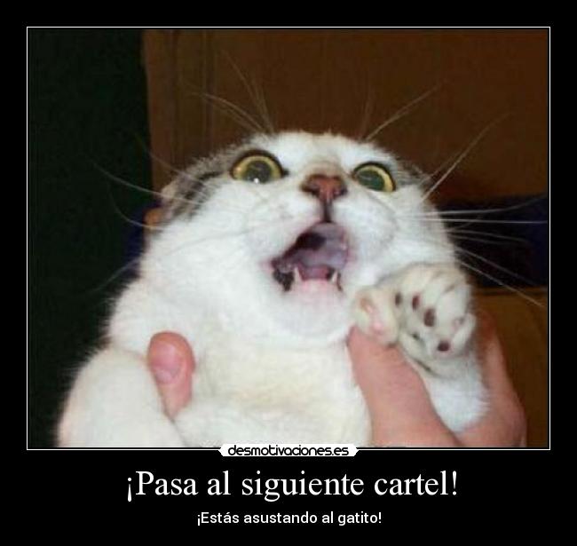 ¡Pasa al siguiente cartel! - 