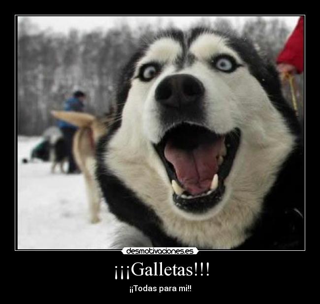 ¡¡¡Galletas!!! - ¡¡Todas para mi!!