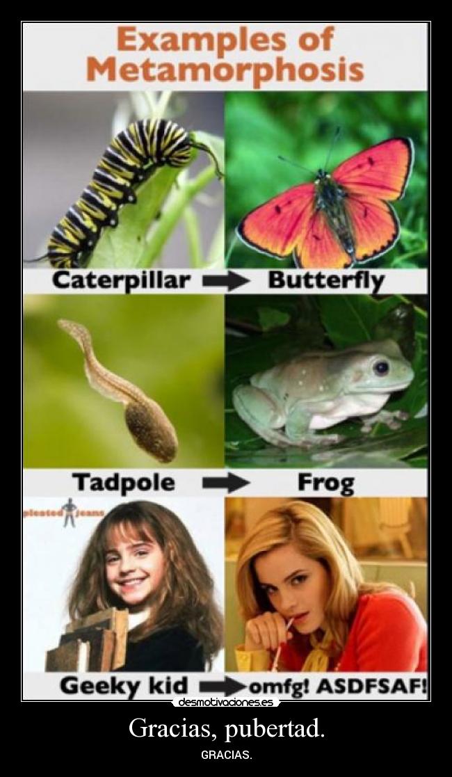 Gracias, pubertad. - GRACIAS.