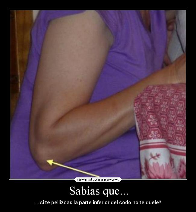 Sabias que... - 