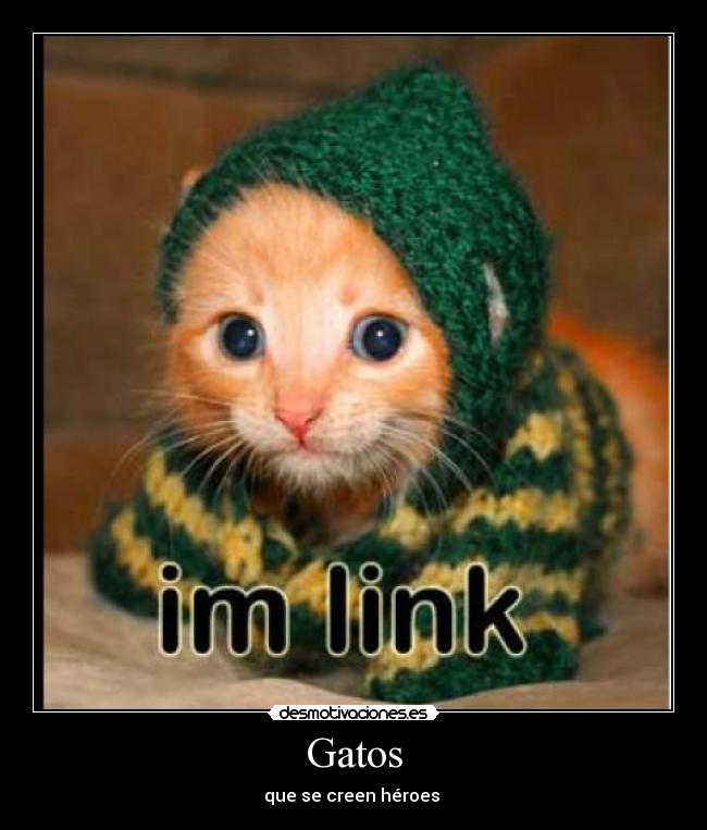Gatos -
