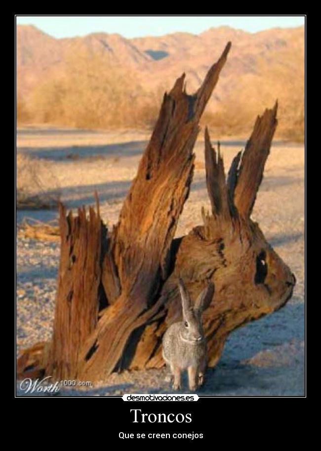 Troncos - Que se creen conejos