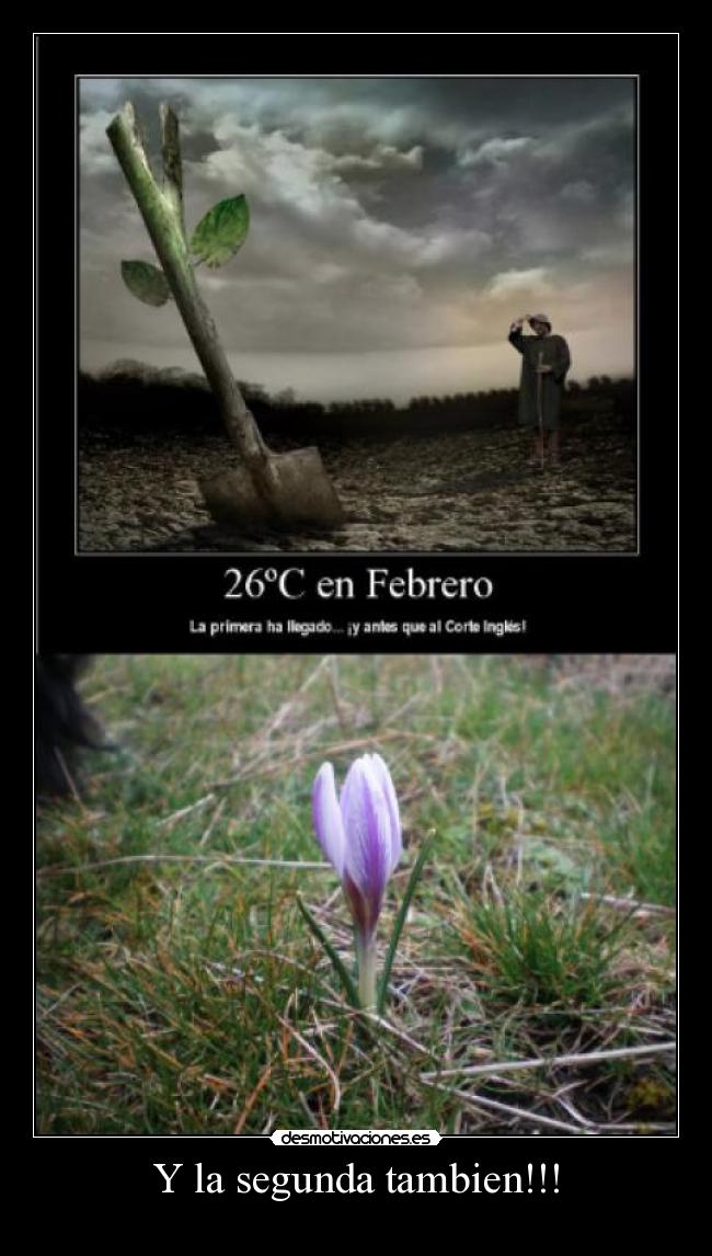 Y la segunda tambien!!! - 