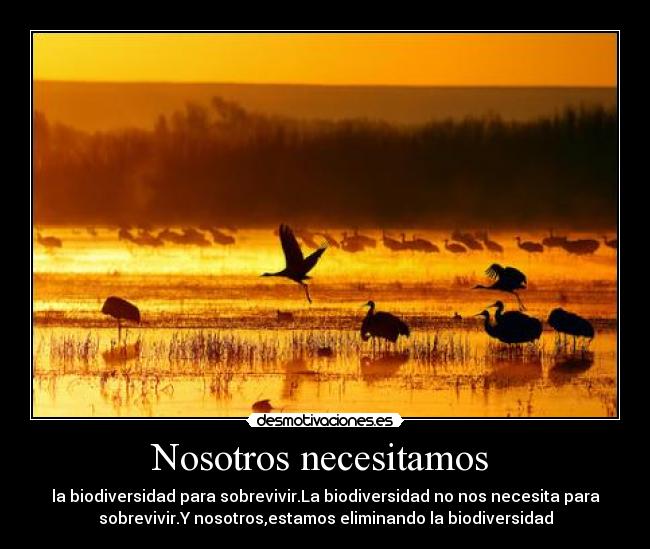 Nosotros necesitamos  - 