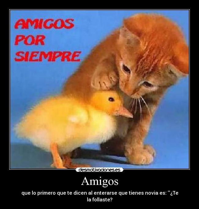 Amigos - que lo primero que te dicen al enterarse que tienes novia es: ¿Te la follaste?