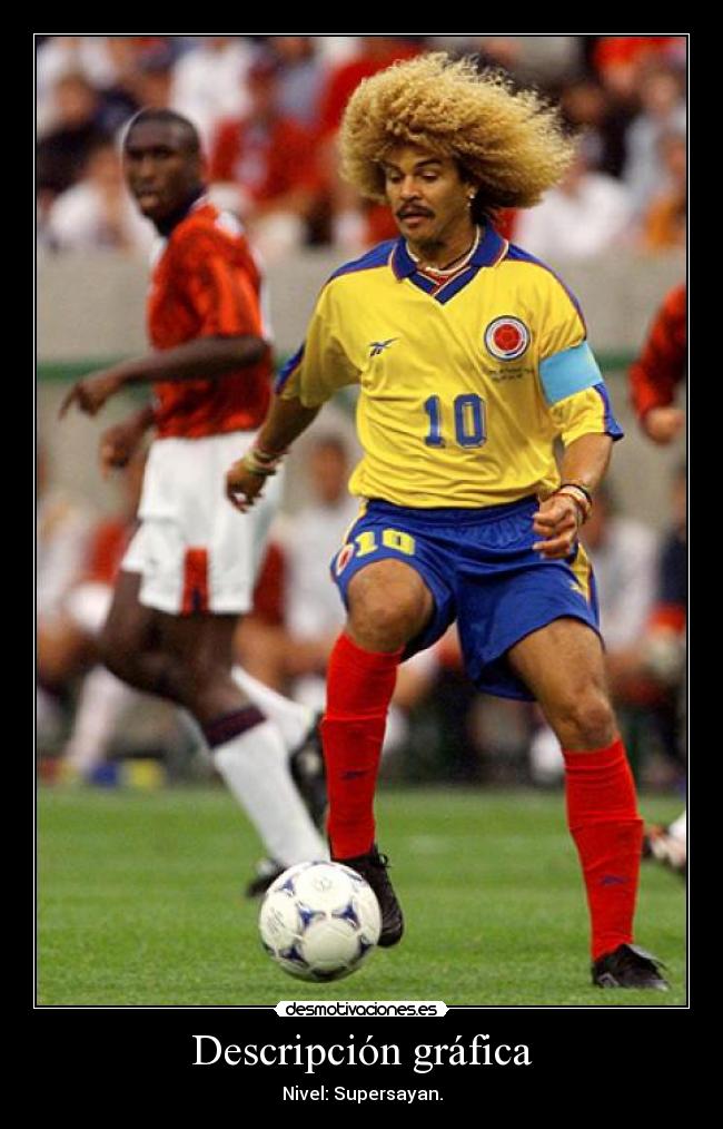 Descripción gráfica -