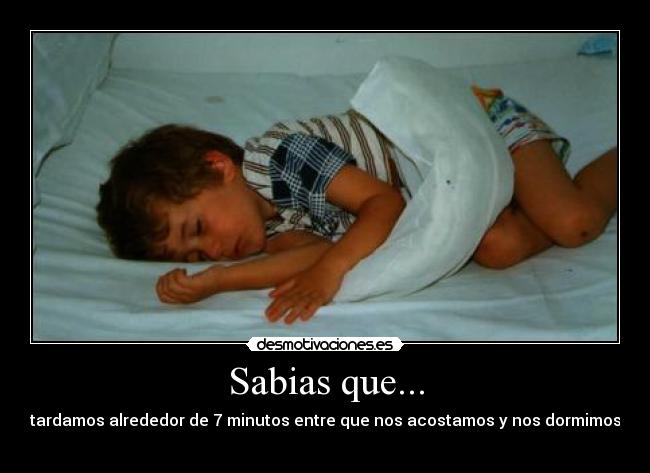 Sabias que... - tardamos alrededor de 7 minutos entre que nos acostamos y nos dormimos 