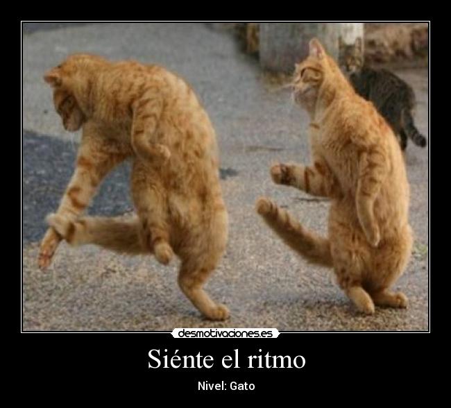 Siénte el ritmo - Nivel: Gato