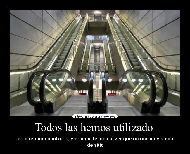 Todos las hemos utilizado -