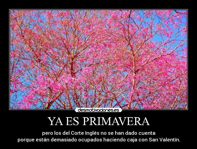 YA ES PRIMAVERA -