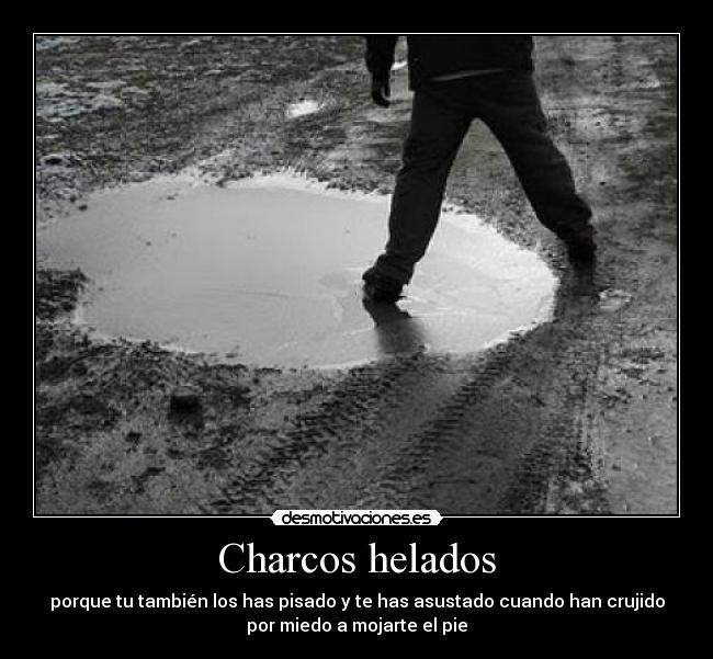 Charcos helados - porque tu también los has pisado y te has asustado cuando han crujido
por miedo a mojarte el pie