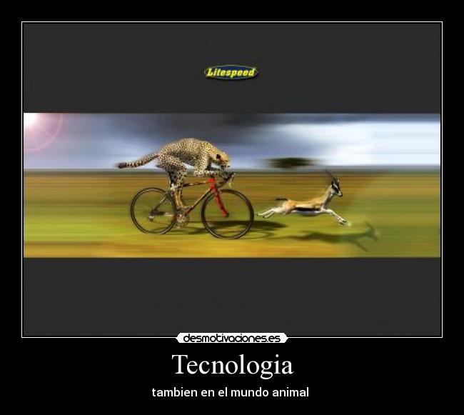 Tecnologia - tambien en el mundo animal