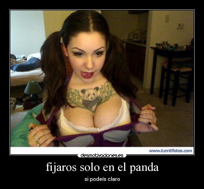 fijaros solo en el panda -