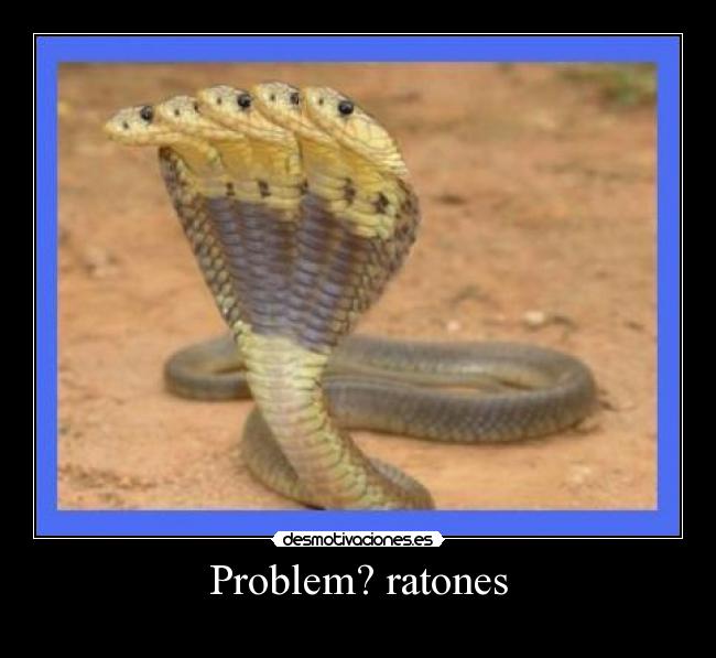 Problem? ratones - 