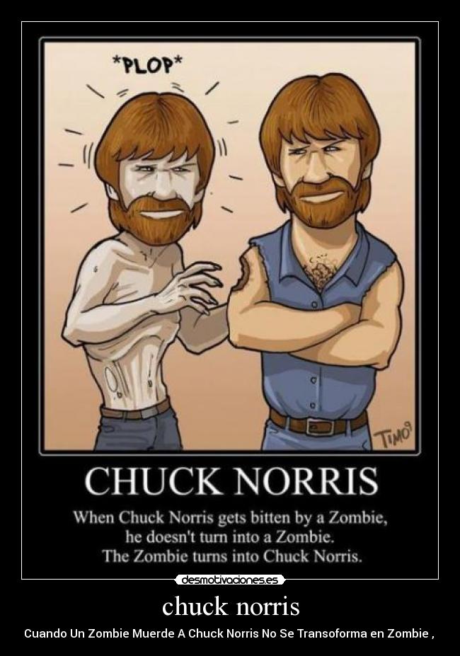 chuck norris - 