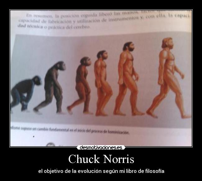 Chuck Norris - el objetivo de la evolución según mi libro de filosofía