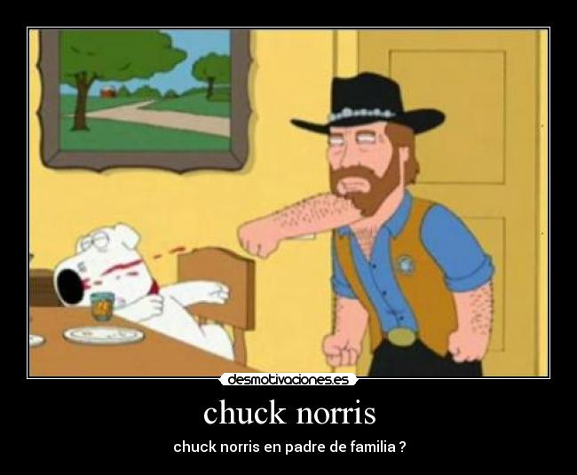 chuck norris -
