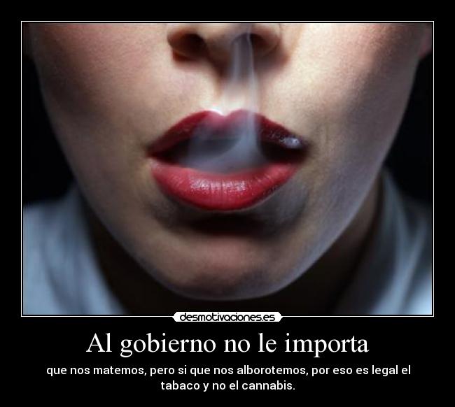 Al gobierno no le importa - 
