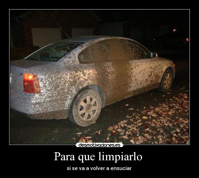 Para que limpiarlo -