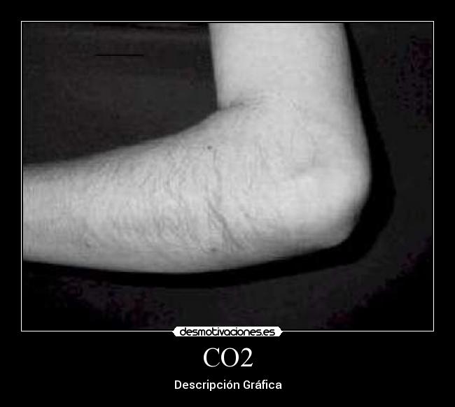 CO2 - Descripción Gráfica