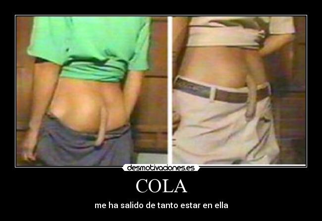 COLA -