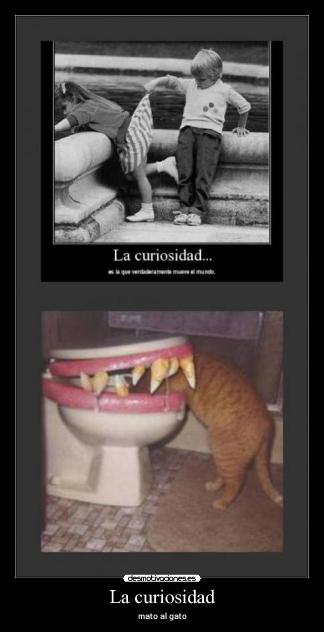 La curiosidad - mato al gato