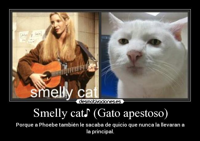 Smelly cat♪ (Gato apestoso) - 