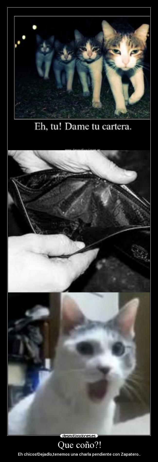 Que coño?! - Eh chicos!Dejadlo,tenemos una charla pendiente con Zapatero..