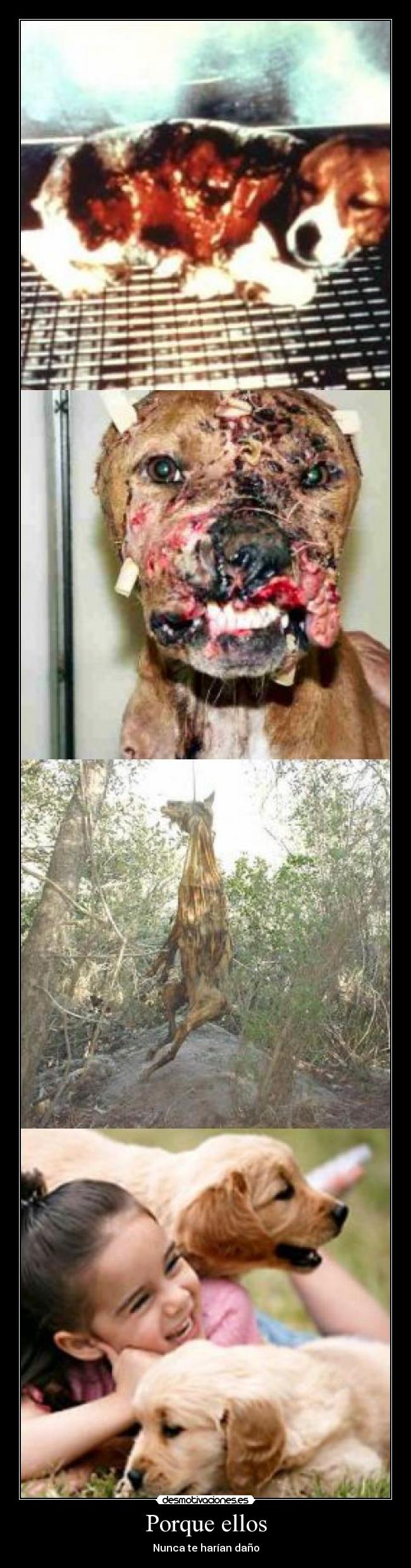 Porque ellos - Nunca te harían daño