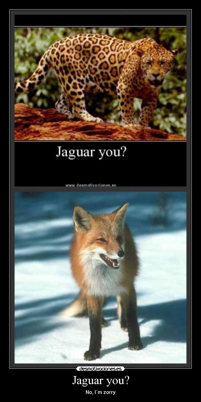 Jaguar you? - No, I´m zorry