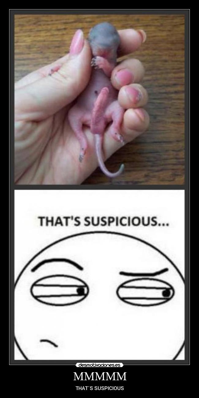 MMMMM - THAT´S SUSPICIOUS