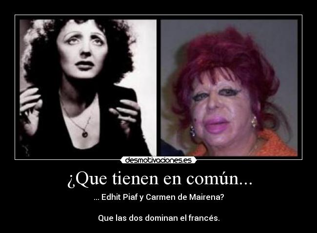 ¿Que tienen en común... -