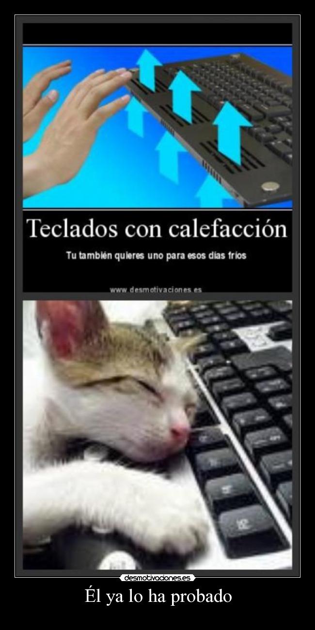 Él ya lo ha probado -