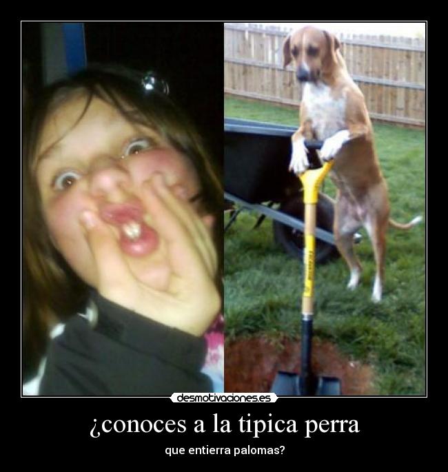 carteles rebe desmotivaciones