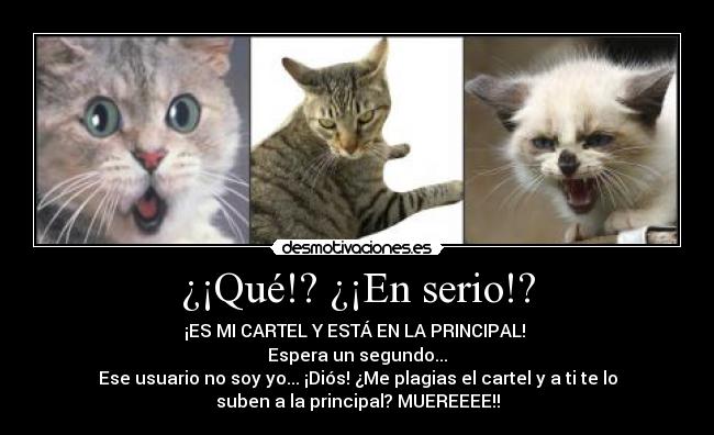 ¿¡Qué!? ¿¡En serio!? - ¡ES MI CARTEL Y ESTÁ EN LA PRINCIPAL!
Espera un segundo...
Ese usuario no soy yo... ¡Diós! ¿Me plagias el cartel y a ti te lo
suben a la principal? MUEREEEE!!