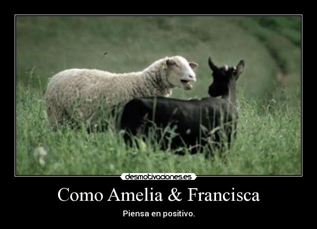 Como Amelia & Francisca -