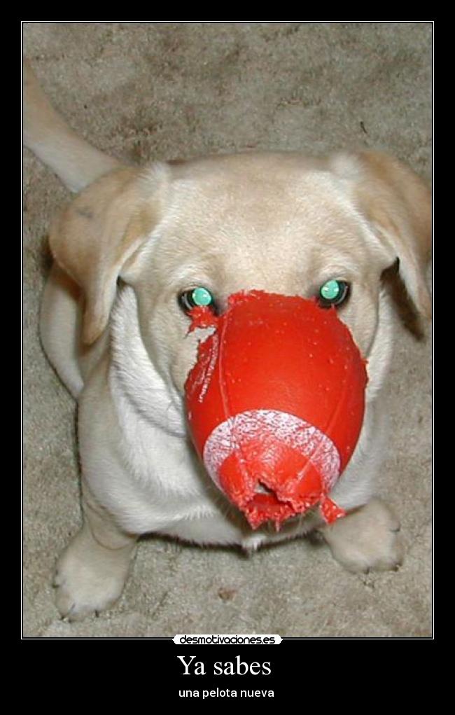Ya sabes  - una pelota nueva 