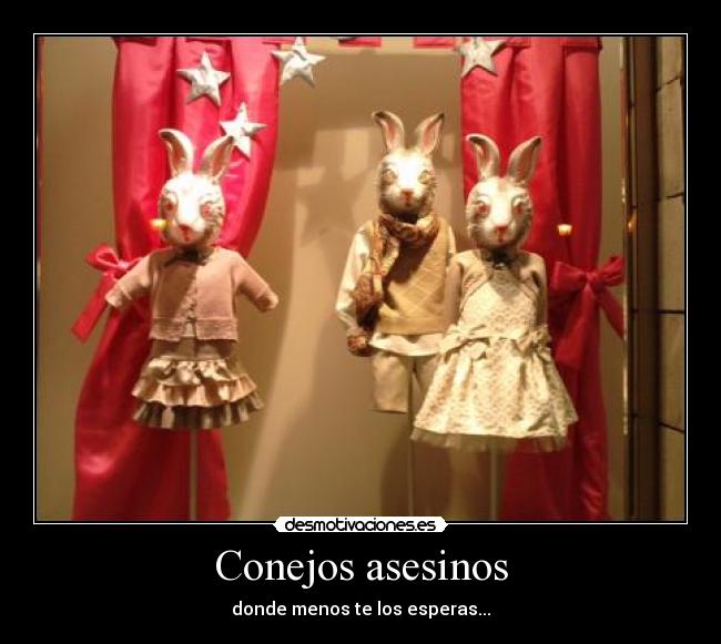 carteles conejos asesinos desmotivaciones