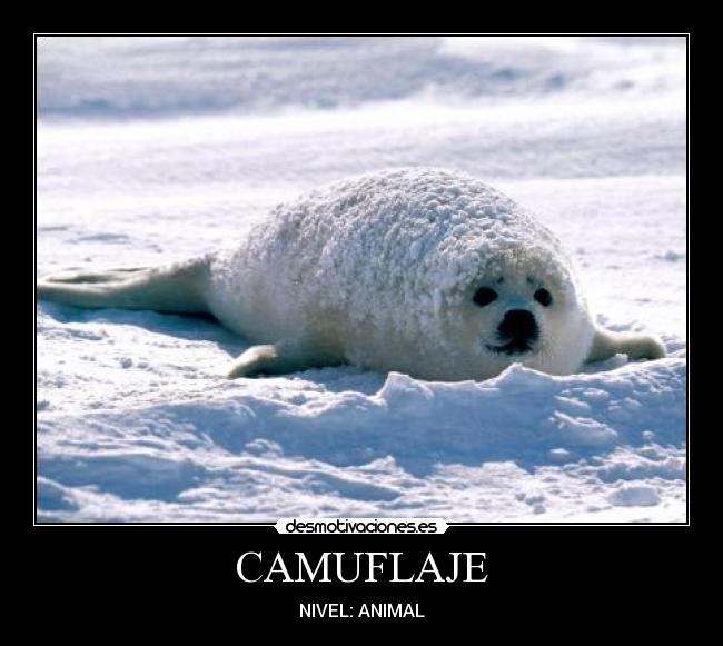 CAMUFLAJE - NIVEL: ANIMAL
