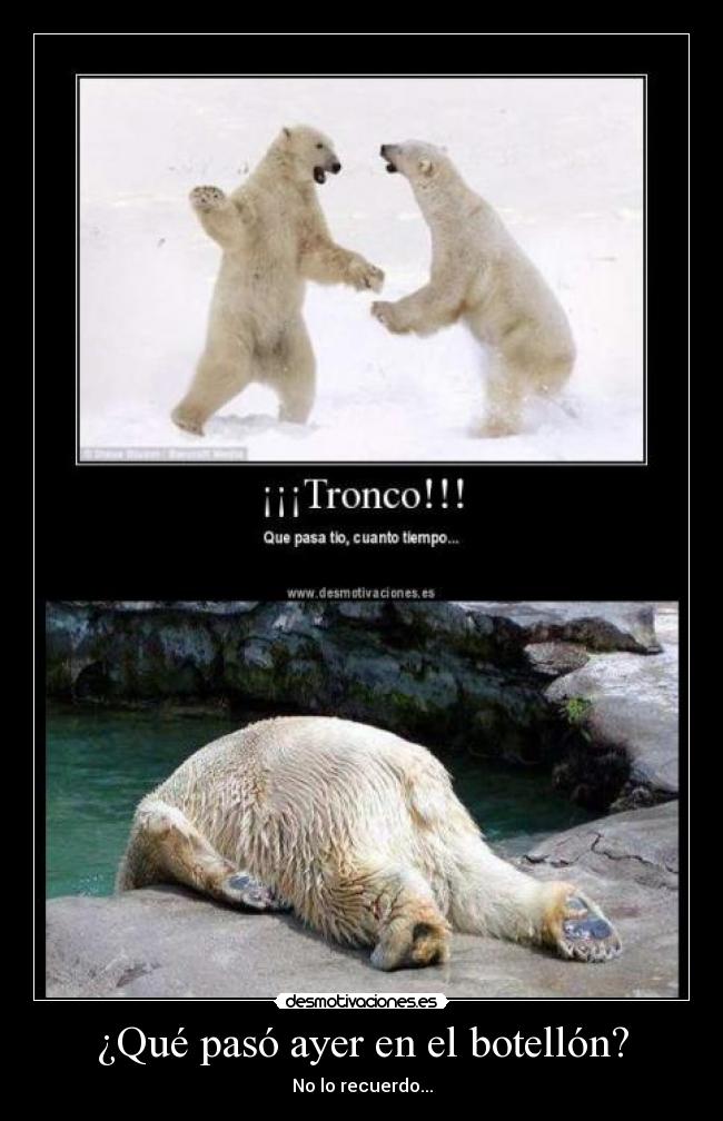 carteles ayer desmotivaciones