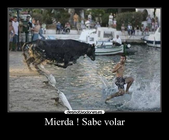 Mierda ! Sabe volar - 