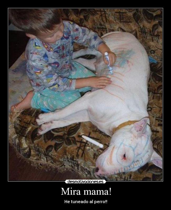 Mira mama! - He tuneado al perro!!