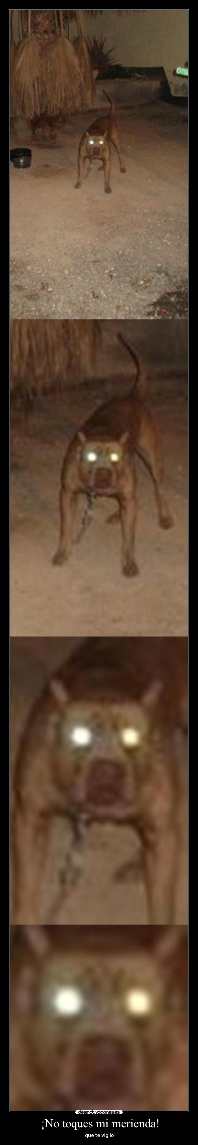 ¡No toques mi merienda! - que te vigilo