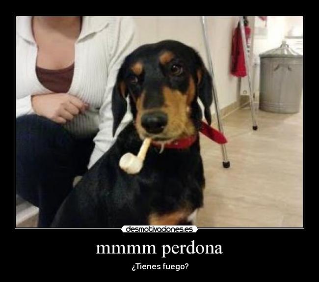 mmmm perdona - ¿Tienes fuego?